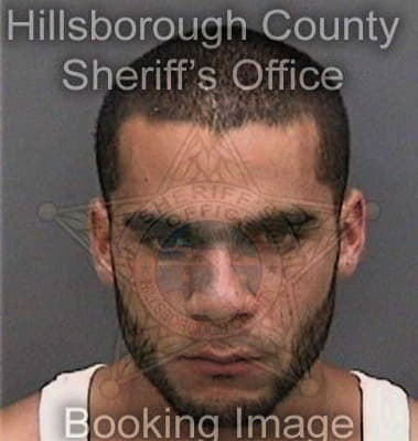 Raul Delcid, - Hillsborough County, FL 