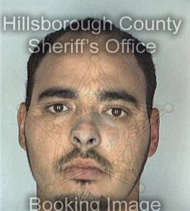 Marcelino Hernandez - Hillsborough County, FL 