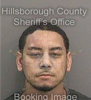 Shane Honackie, - Hillsborough County, FL 