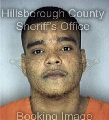 Darryl Mayle - Hillsborough County, FL 