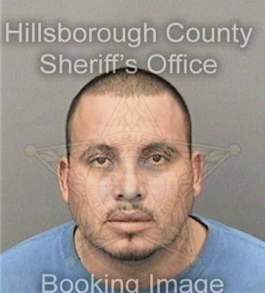 Adam Mayo - Hillsborough County, FL 