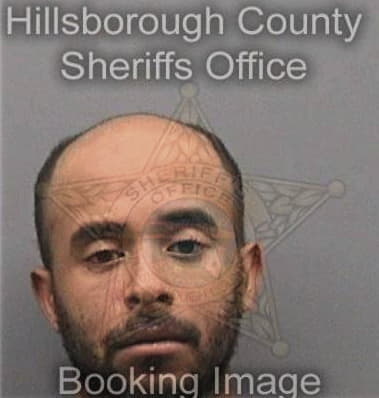 Luis Mendezrubalcaba - Hillsborough County, FL 