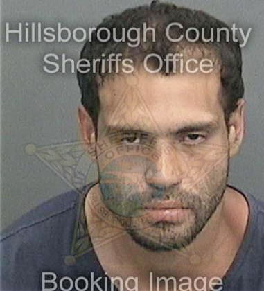 Zachary Peacock, - Hillsborough County, FL 