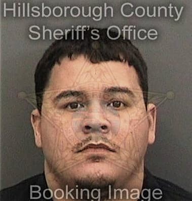 Brian Raberge, - Hillsborough County, FL 