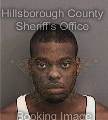 Patrick Davis, - Hillsborough County, FL 