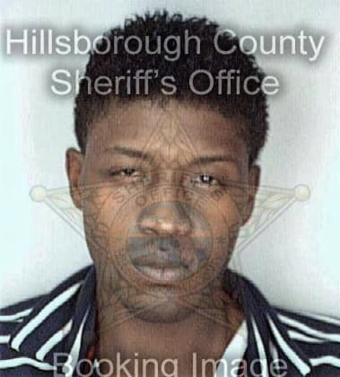 Ronald Fulton, - Hillsborough County, FL 