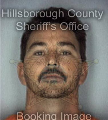 Altamirano Salgado, - Hillsborough County, FL 