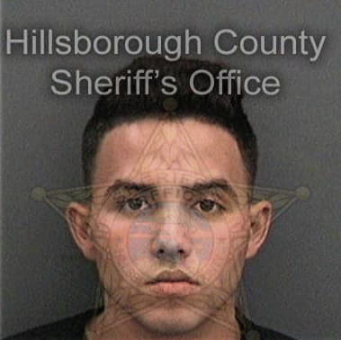 Antonio Arellano-Gamez, - Hillsborough County, FL 