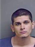 Elmer Daniels, - Manatee County, FL 