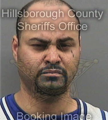 David Glandt, - Hillsborough County, FL 