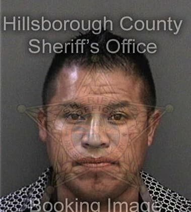 Anthony Glover, - Hillsborough County, FL 