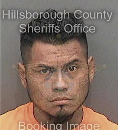 David Houston, - Hillsborough County, FL 