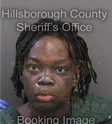 Arianna Jenkins, - Hillsborough County, FL 