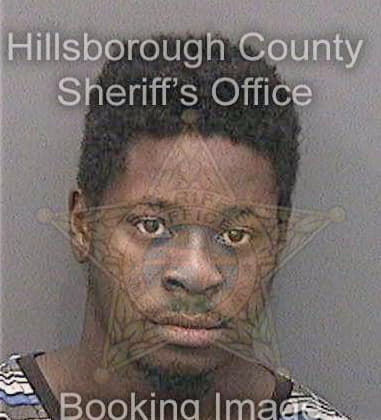Marvin Mitchell - Hillsborough County, FL 