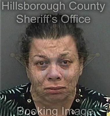 Holly Orwig, - Hillsborough County, FL 