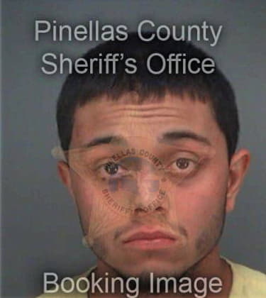 Ronald Reyespollock, - Pinellas County, FL 