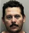 Dennis Steffanuski, - Manatee County, FL 