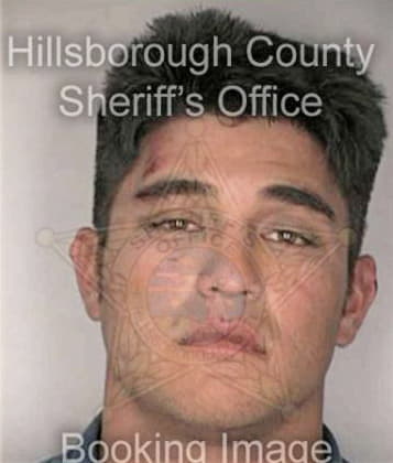 Richard Wicks - Hillsborough County, FL 