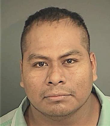 Mario Alvarenga, - Charleston County, SC 