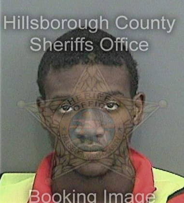 Joshua Arrington, - Hillsborough County, FL 