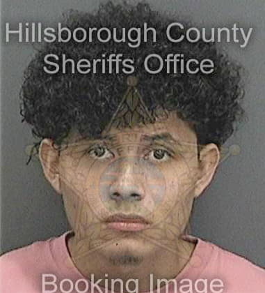 Amiral Bhanwadia - Hillsborough County, FL 
