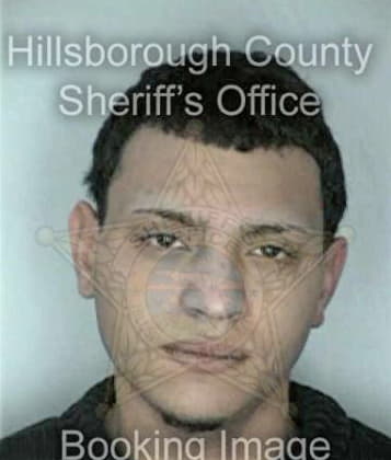 Timothy Boyle - Hillsborough County, FL 