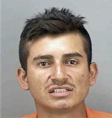 Cesar Crispin, - Collier County, FL 