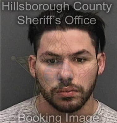 Lorenzo Figueroa, - Hillsborough County, FL 