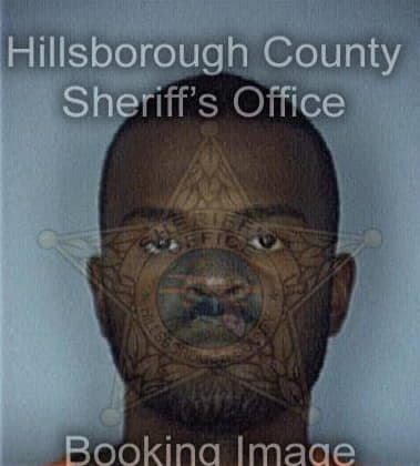 Demetrious George, - Hillsborough County, FL 