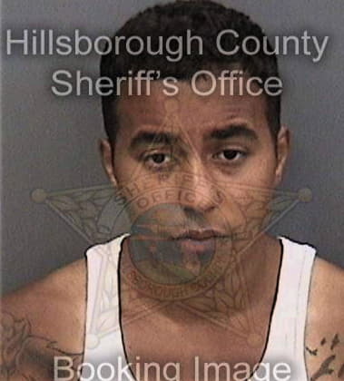 Rashad Royster, - Hillsborough County, FL 