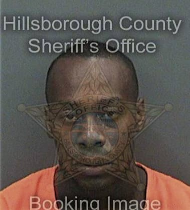 Tyrese Sanks, - Hillsborough County, FL 