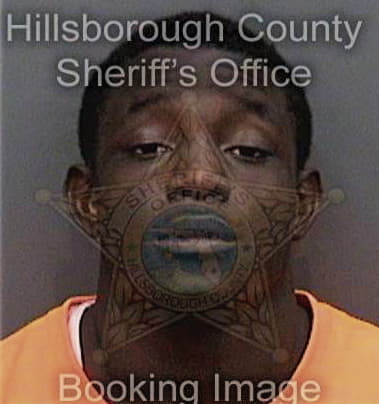 Ronald Swinson, - Hillsborough County, FL 