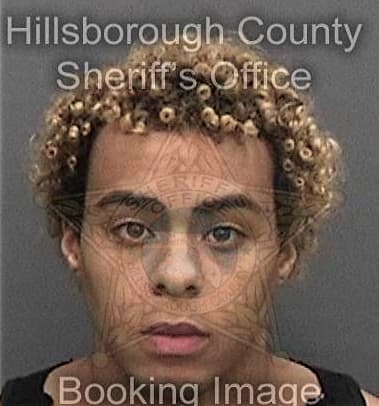 Pierre Thomas, - Hillsborough County, FL 