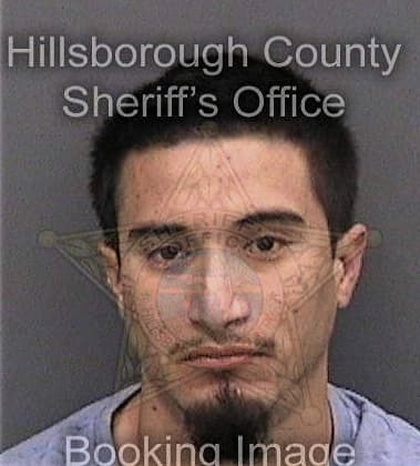 Thomas Tozzo, - Hillsborough County, FL 