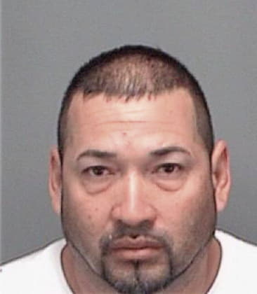 Octavio Vargasramirez, - Pinellas County, FL 