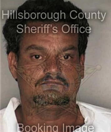 Neftali Dominguez, - Hillsborough County, FL 