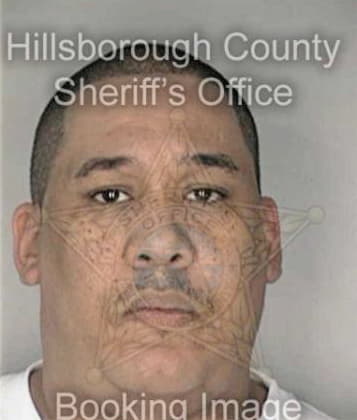 Aroldo Moralesmejia, - Hillsborough County, FL 