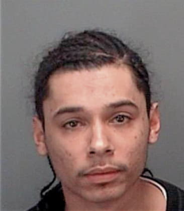 Gustavo Rojaslopez, - Pinellas County, FL 