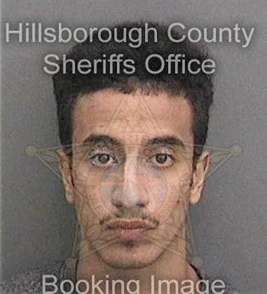 Luis Amaya, - Hillsborough County, FL 