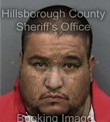 Thomas Breakey - Hillsborough County, FL 