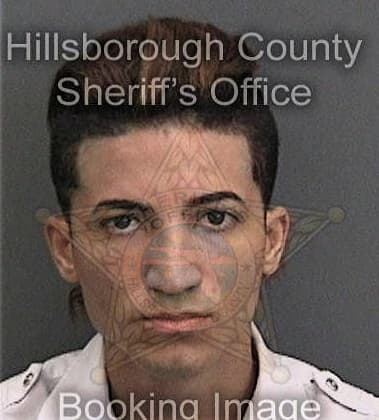 Leonard Digirolamo, - Hillsborough County, FL 