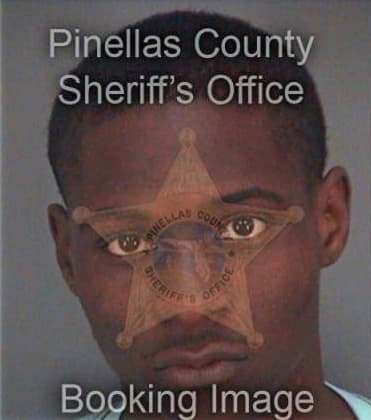 Kenneth Drew, - Pinellas County, FL 