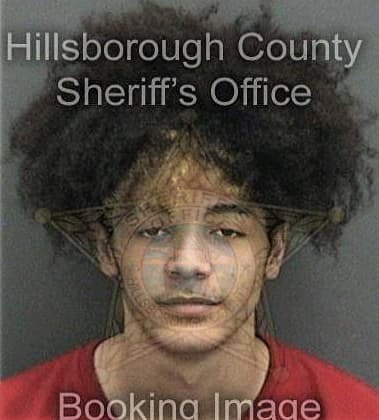 Brandon Johnson, - Hillsborough County, FL 