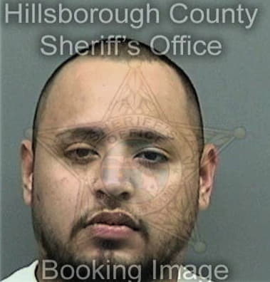 Waldemar Martinezdiaz, - Hillsborough County, FL 