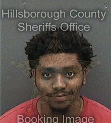 Nicholas McIntosh - Hillsborough County, FL 
