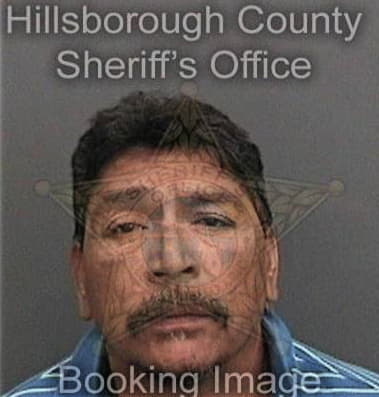 Enrique Reyes-Villasana, - Hillsborough County, FL 