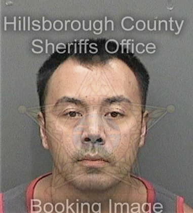 Ujjwal Singh, - Hillsborough County, FL 