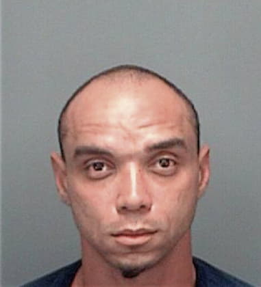 Marcial Bautistamartin, - Pinellas County, FL 