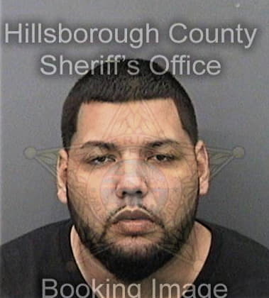 Michael Carry, - Hillsborough County, FL 