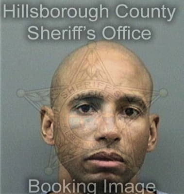 Alvin Charles - Hillsborough County, FL 
